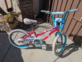 Two 20inch girls youth bicycles