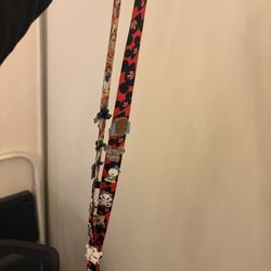 DISNEY LANYARD WITH PINS