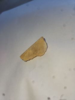 Libyan Desert Glass tektite
