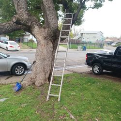 Ladder 16ft Adjustable 