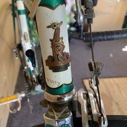 Raleigh Professional Racing Bike