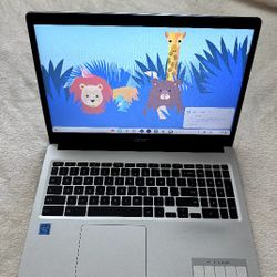 Acer Chromebook 315