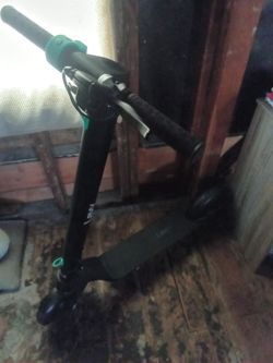 Levy's electric scooter