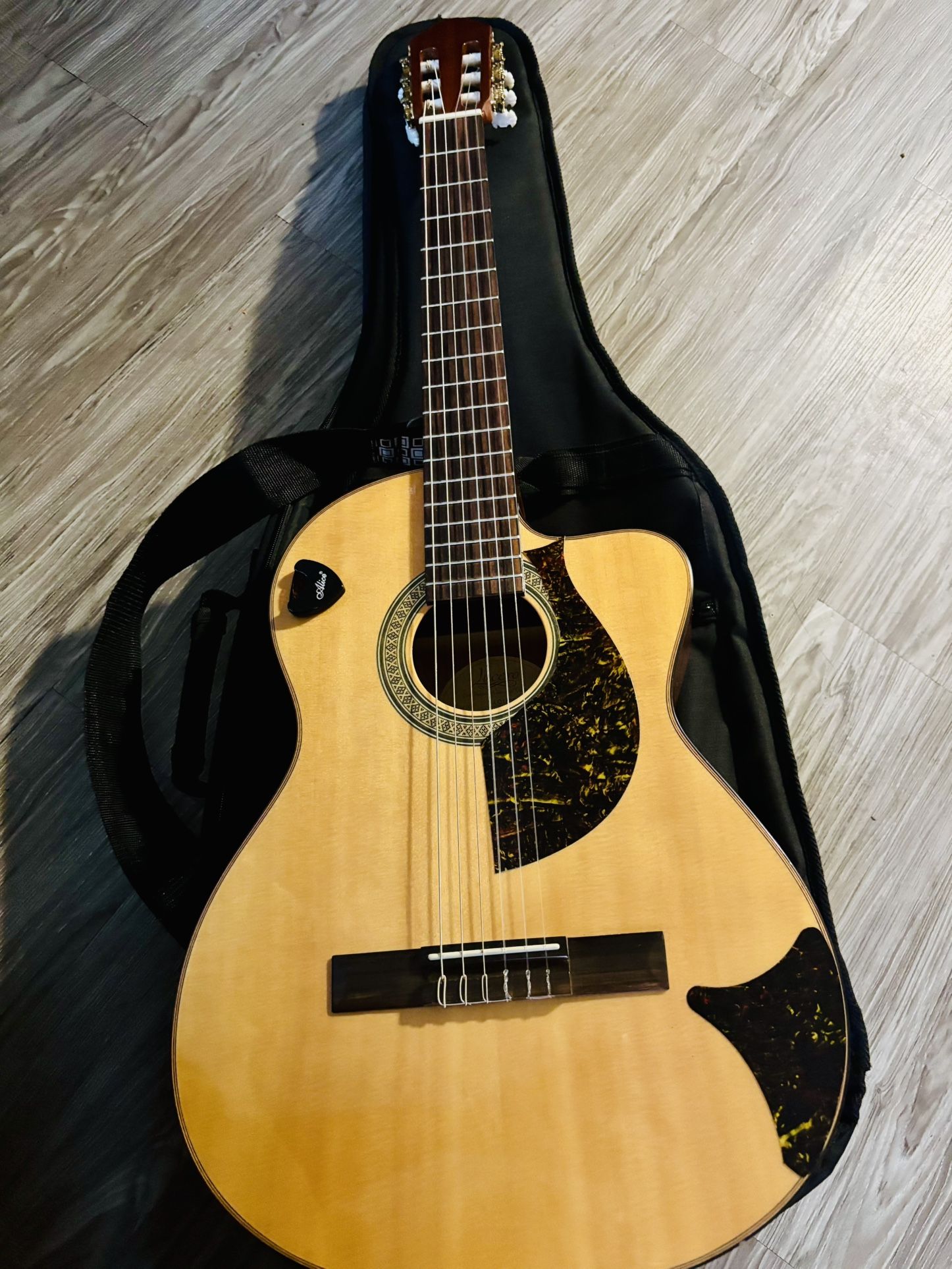 Electric Acoustic Guitar