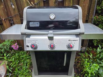 Weber natural gas grill