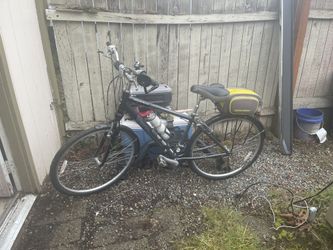 Cannondale Adventure 3