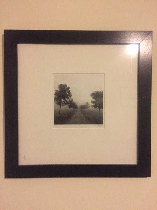 Framed Tree Print