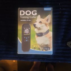 Dog Training Collar