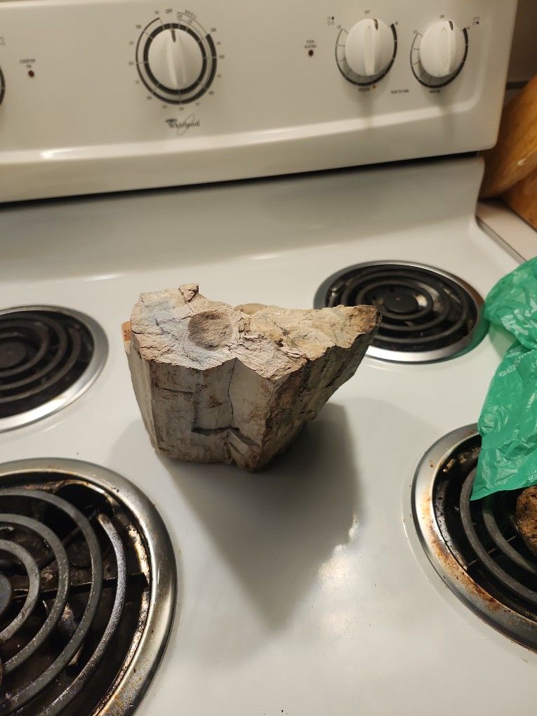 8 Pound Petrified Wood Piece 