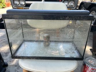 10 Gallon aquarium