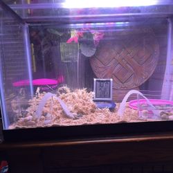 10 gallon tank with glass lid