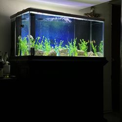 120 Gallon Fish Aquarium 