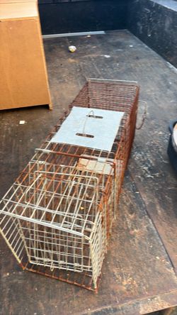 Rodent trap