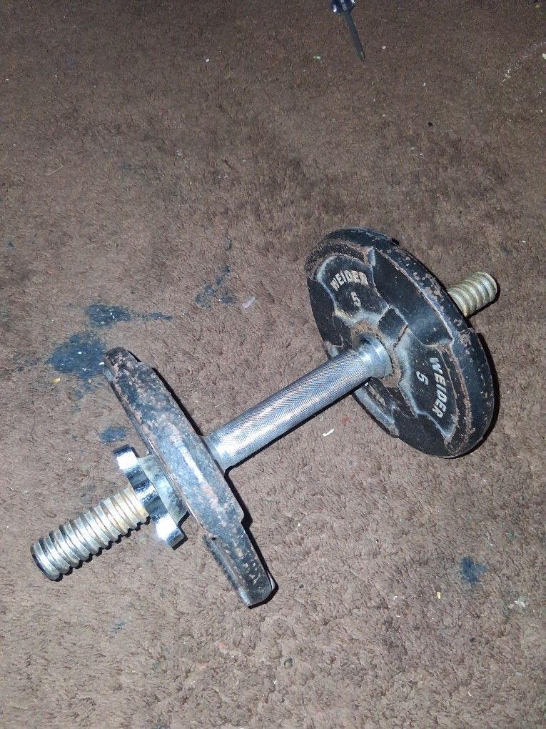 1 10 pound Dumbell