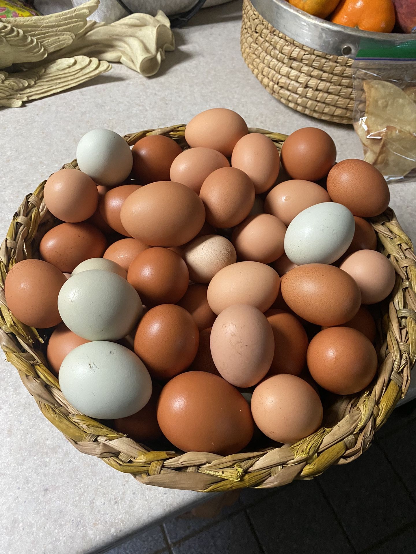 Fresh Eggs In Kingsport