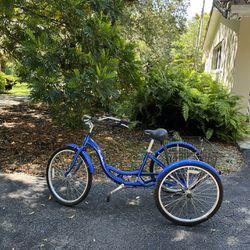 3 Wheel Bike With Basket (Blue)