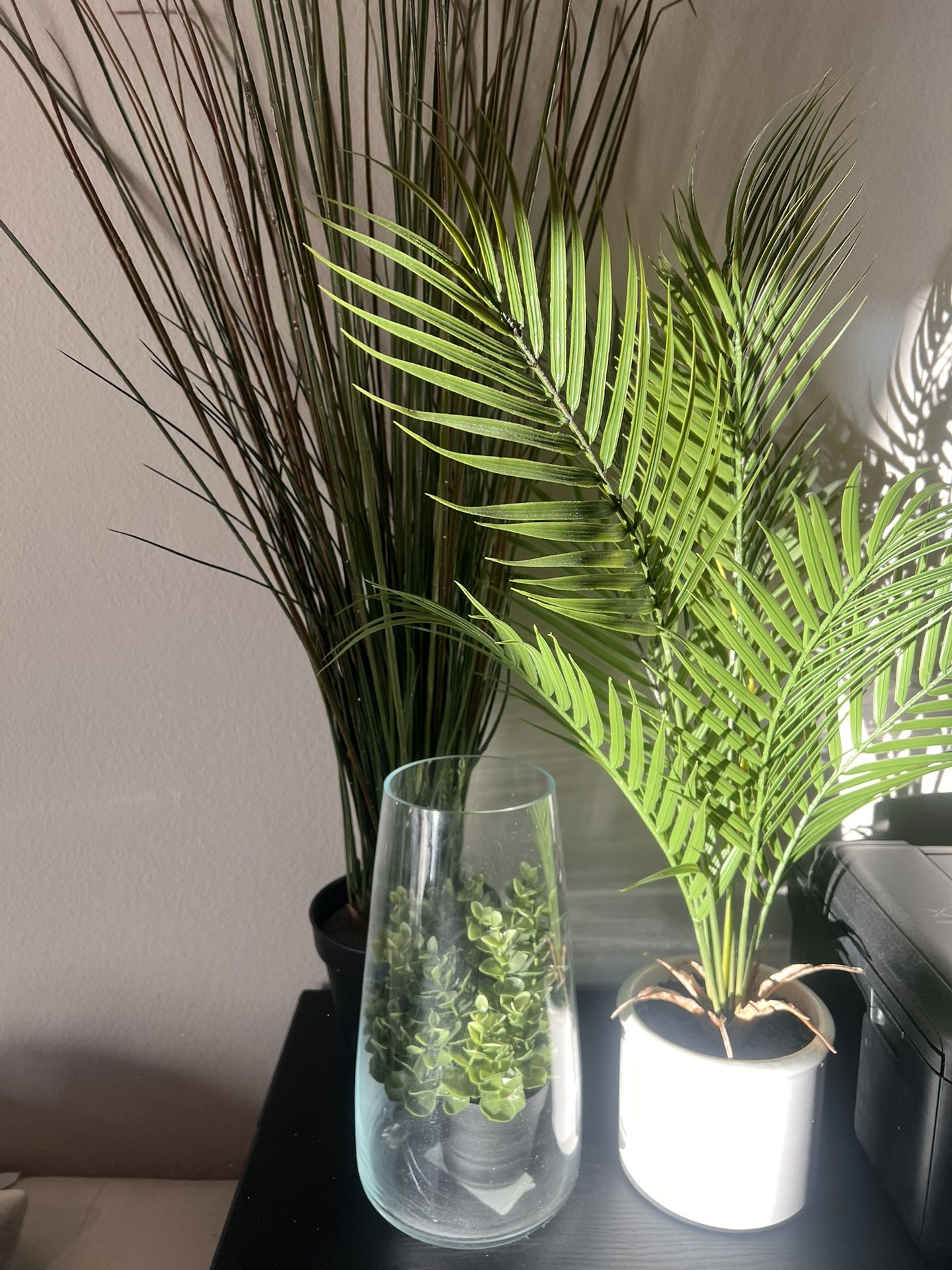 Plastic Plant bundle