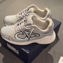Dior B22