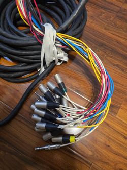Livewire Advantage 16x4 Snake with XLR/TRS inputs and TRS Returns 50 ft. Black