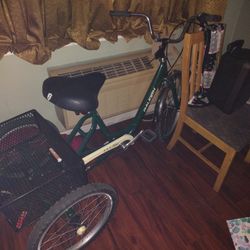 Trike Raleigh Bike
