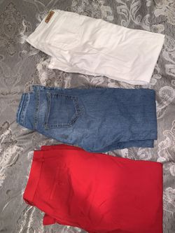 Pants, bras, scarf