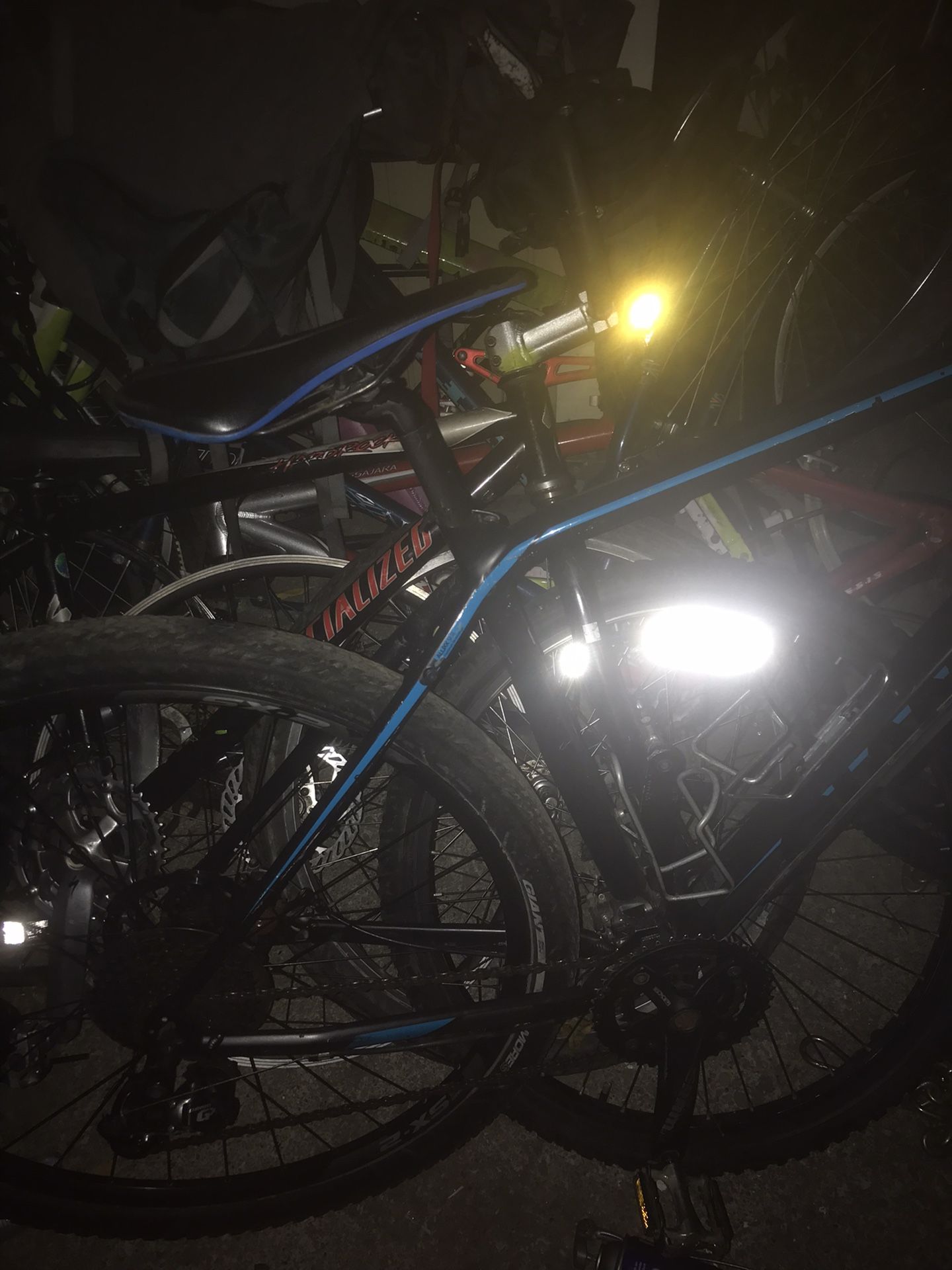 Giant Bike