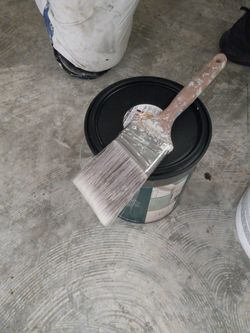Paint and Paint Brush