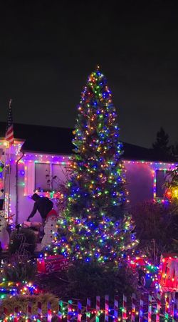 12  ft christmas tree
