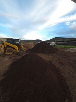 Premium Bulk and Bagged Worm Castings