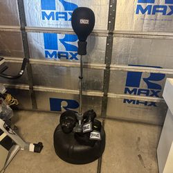 Ringside Fitness Reflex Bag with Everlast Boxing Gloves, Punching Mitts & Hand Wraps