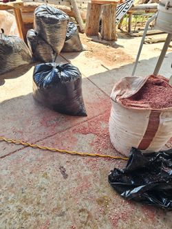 Aromatic red cedar shavings