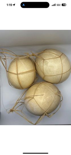 Set of 3 Real Ostrich Eggs – Natural 6" Shells in Handwoven Netting–Safari decor