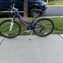 Girls Schwinn Bike 