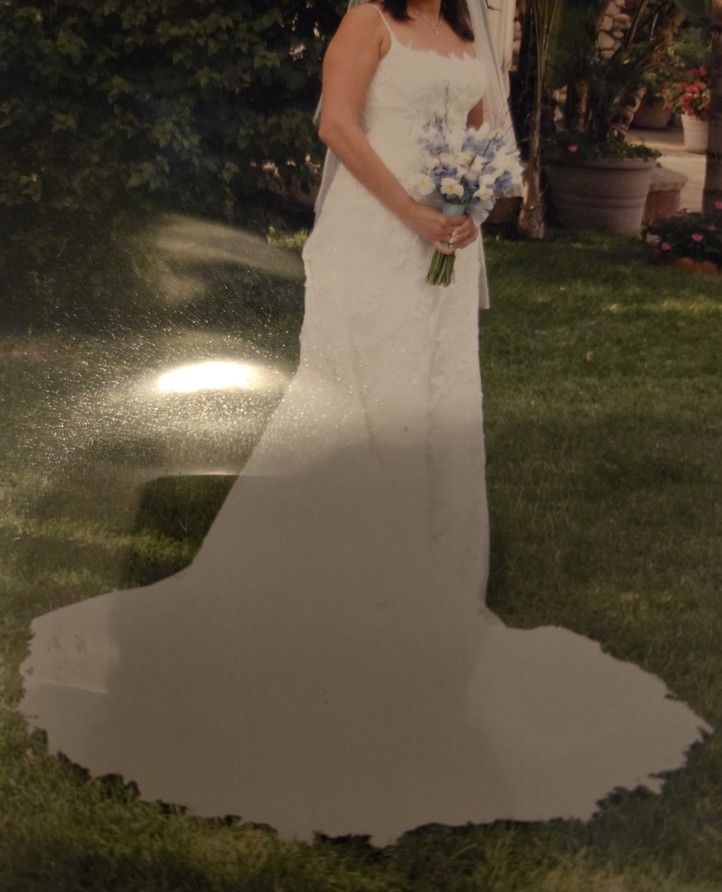 A line Wedding Dress with train and French bustle