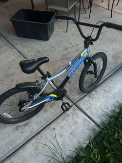 BMX 20in schwinn (bought at Dicks Sporting Goods)