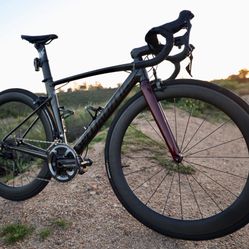 2020 Specialized Allez Sprint 52 cm