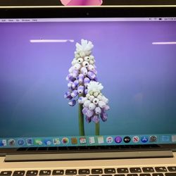 2015 Retina MacBook Pro - 15 - 16GB RAM 1TB SSD - 4.0ghz Quad i7 - RADEON R9