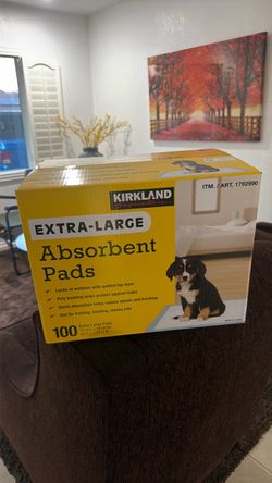 Kirkland Signature Extra-Large Absorbent Pads 100-Count