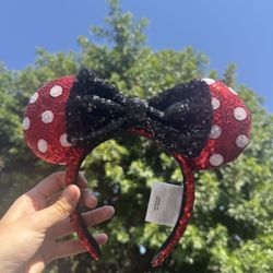 Disneyland Ears 