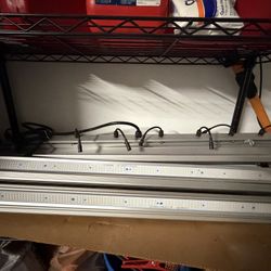 1000 Watt Grow Lights