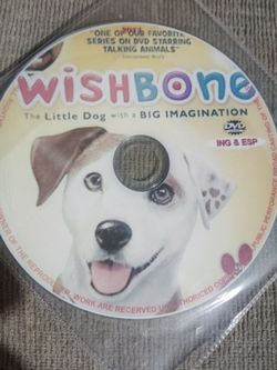 Special Dog training $100$ an hour