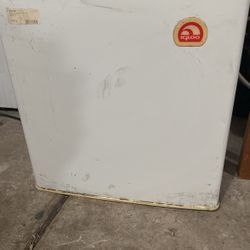 Igloo Mini Fridge
