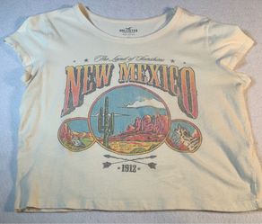 Hollister t-shirt