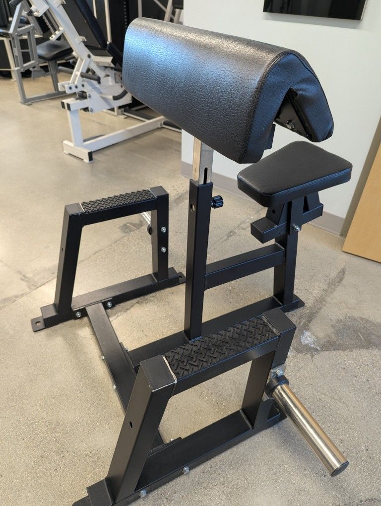 Preacher Curl Bench