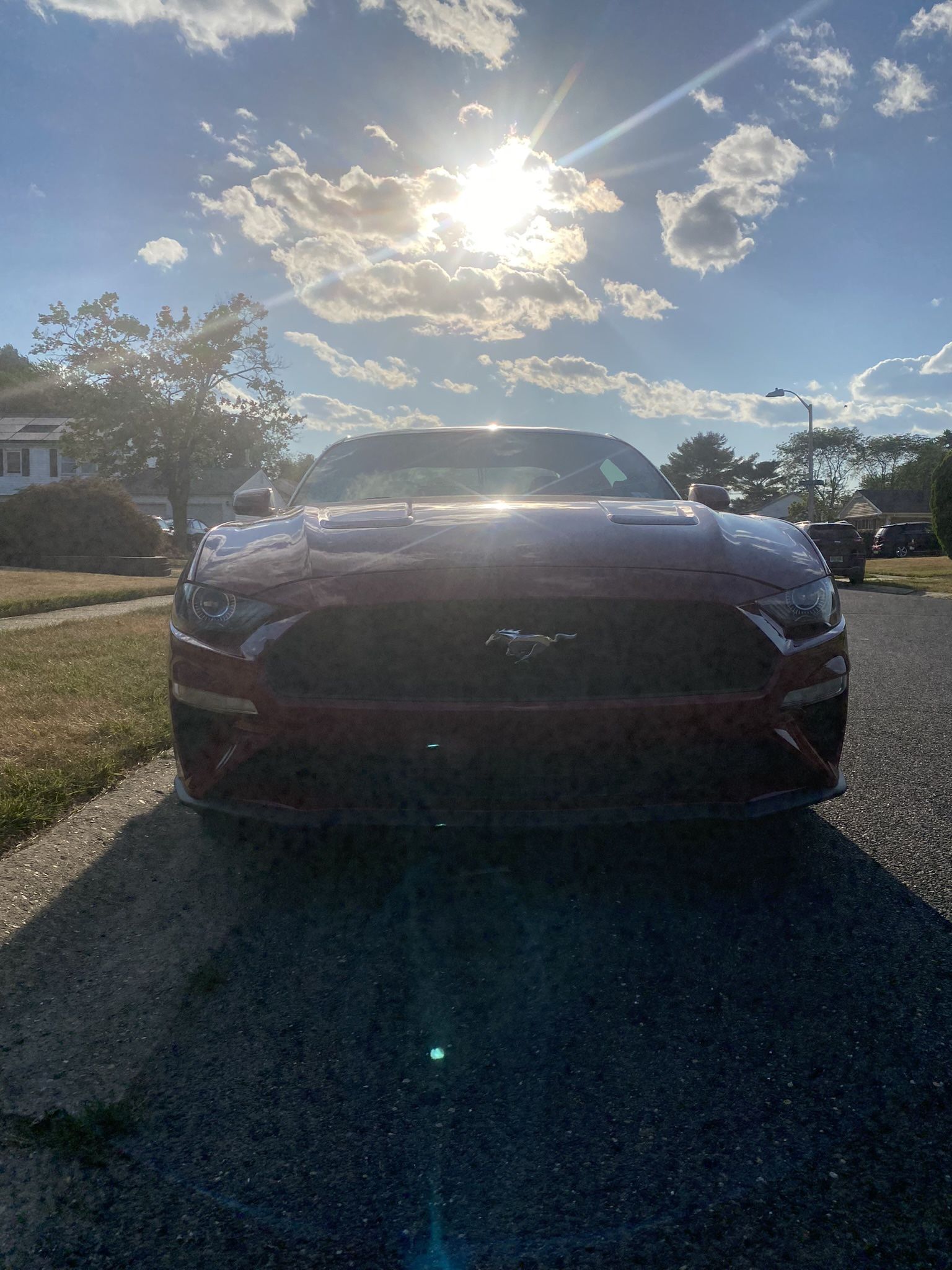 2019 Ford Mustang