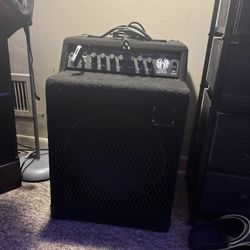 Working Man 100 Amp Bass Speaker