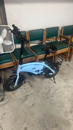 Adult Electric Bike