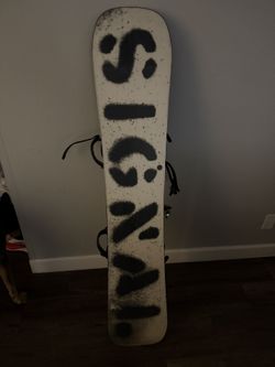signal snowboard