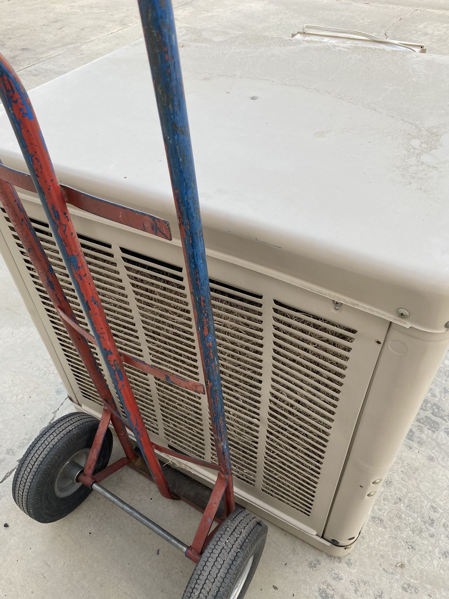 Champion Swamp Cooler 