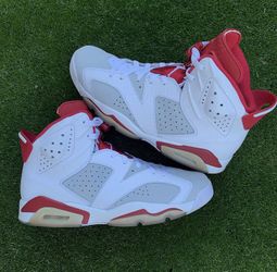 Jordan 6 Retro Alternate Hare